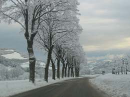 foto nevicata del 21 Febbraio 2005 3